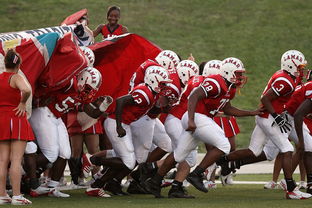 九游jiuyou-国家队技战术水平提升瓶颈，国家技巧队