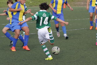 Jiuyou-足球直播平台互动功能增强粉丝参与度,足球直播话术