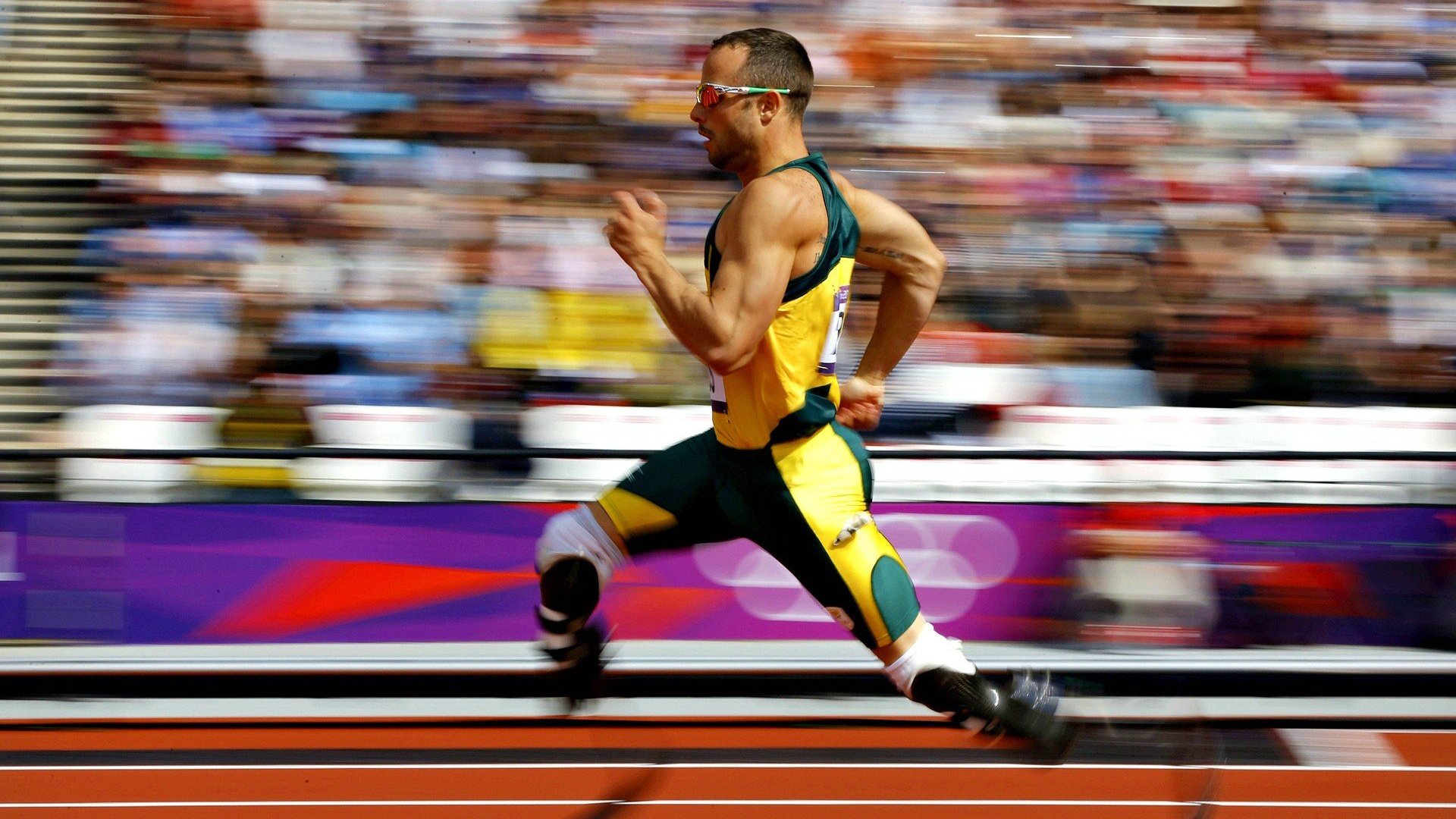 赛季感动：那些令人动容的比赛瞬间，赛场感言